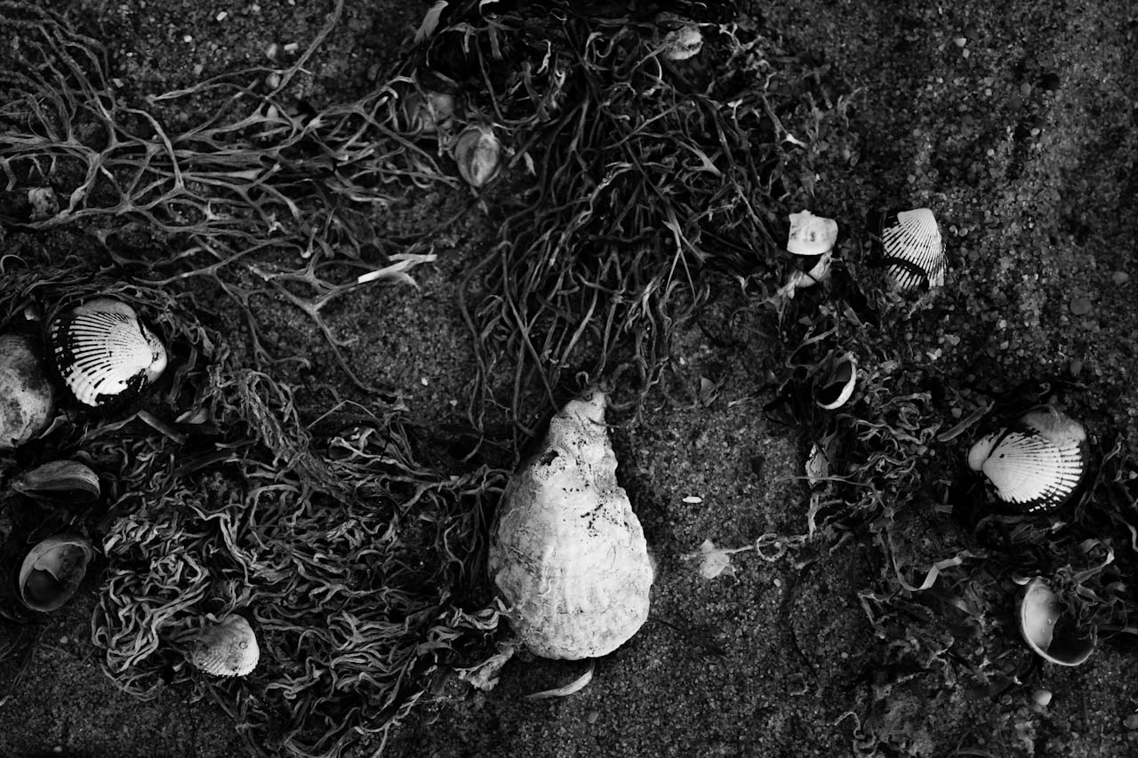Photograph 7 of 24, The Sea