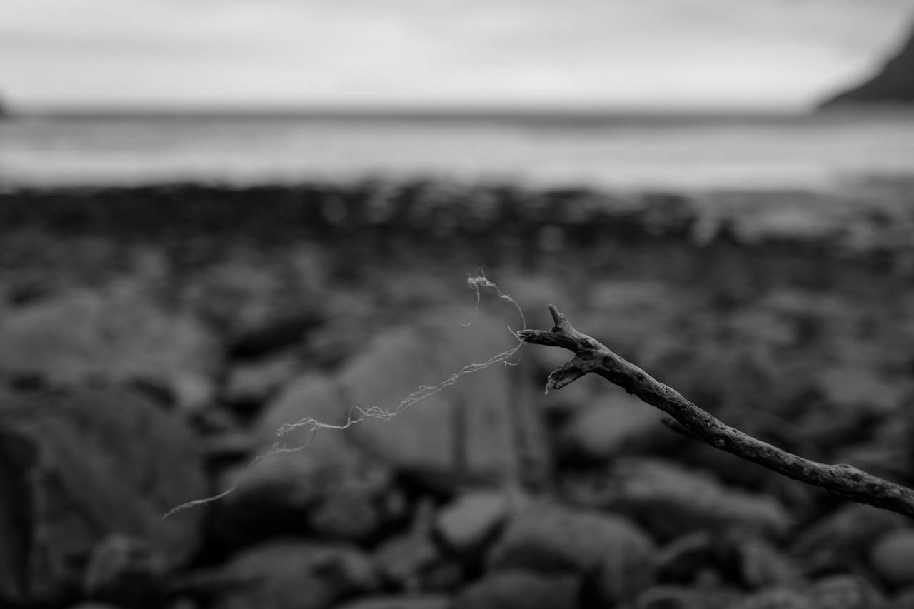 Photograph 19 of 24, The Sea