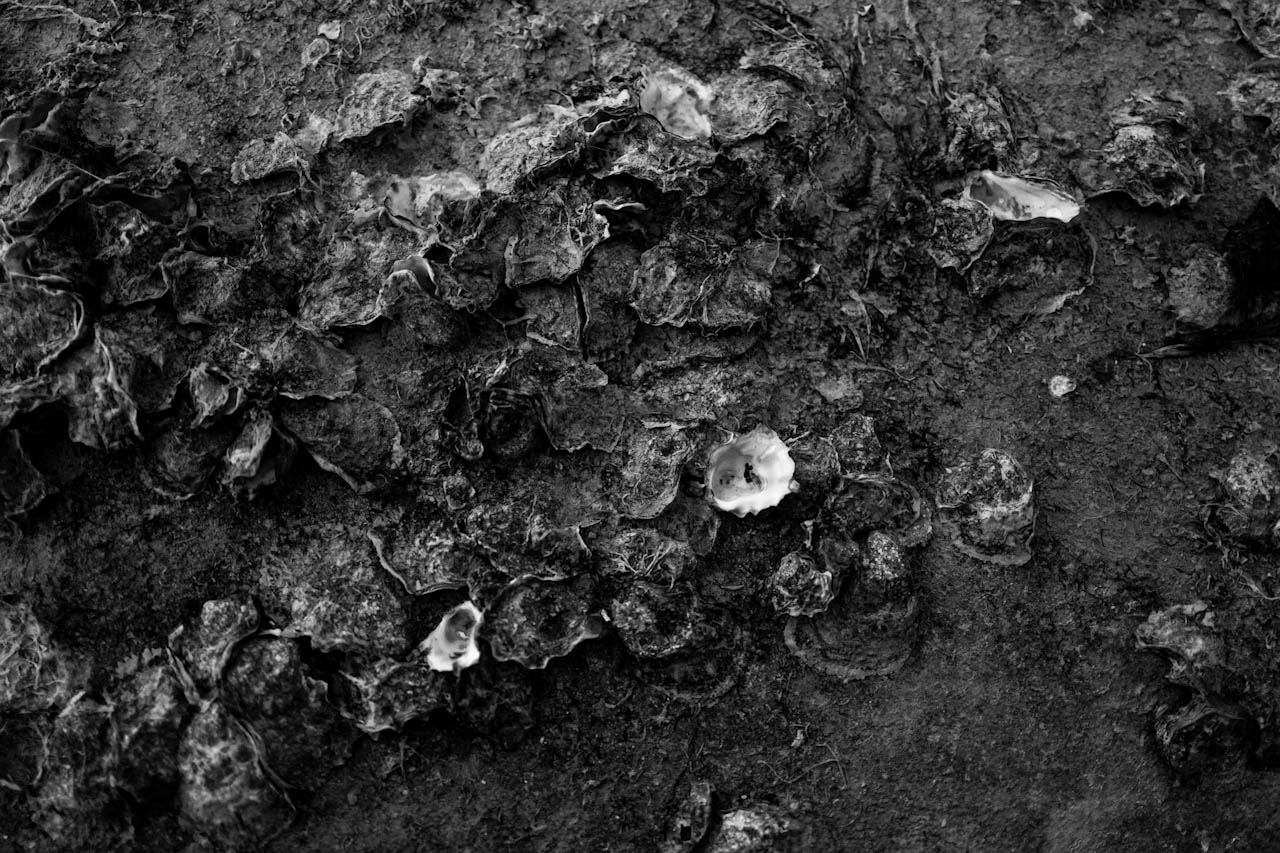 Photograph 3 of 24, The Sea