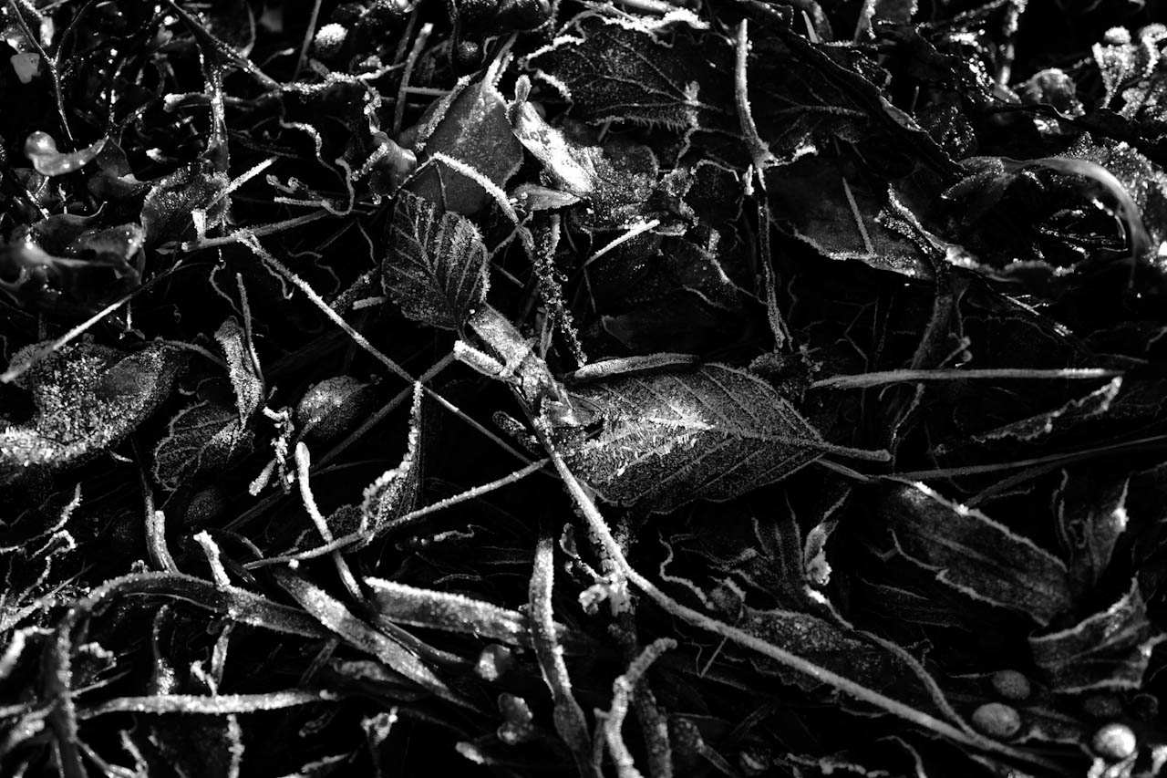 Photograph 11 of 24, The Sea