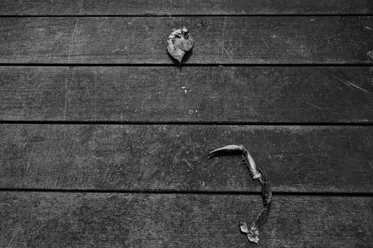 Photograph 1 of 24, The Sea