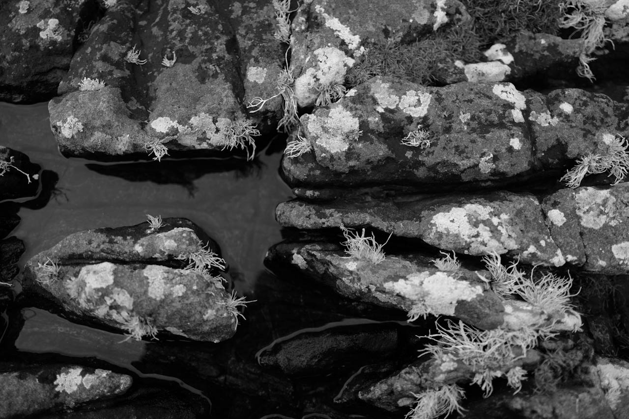 Photograph 17 of 24, The Sea