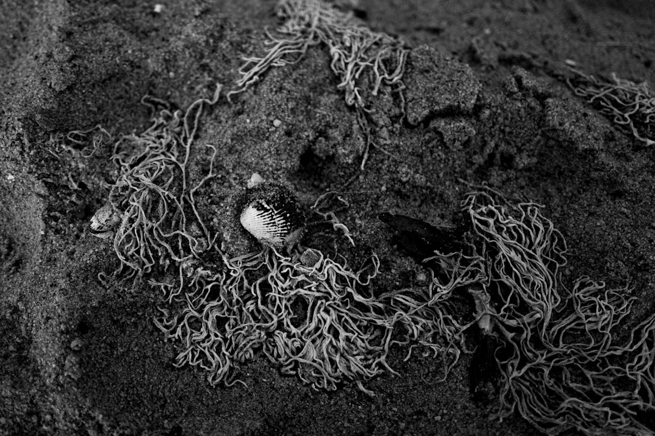 Photograph 6 of 24, The Sea