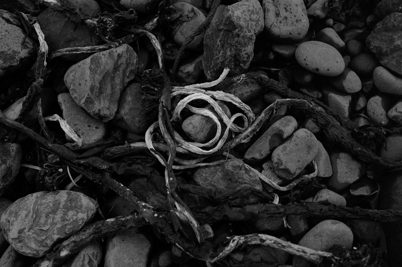 Photograph 20 of 24, The Sea